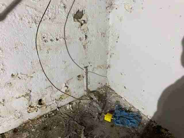 Testing again(70).jpg